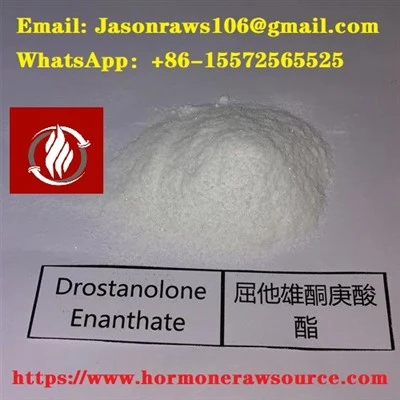 Púdar Ábhar Raw Drostanolone Enanthate Do Bodybuilding CAS: 13425-31-5
